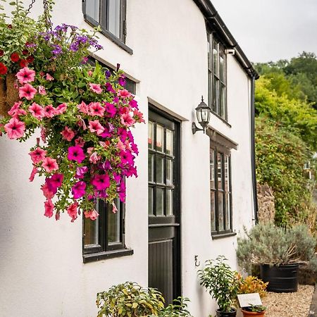 Woodview - Cosy 1840S Cottage In Chew Valley And Mendip Aonb Compton Martin Exterior foto